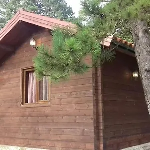 Iliria Tiny House Llogora Appartamento